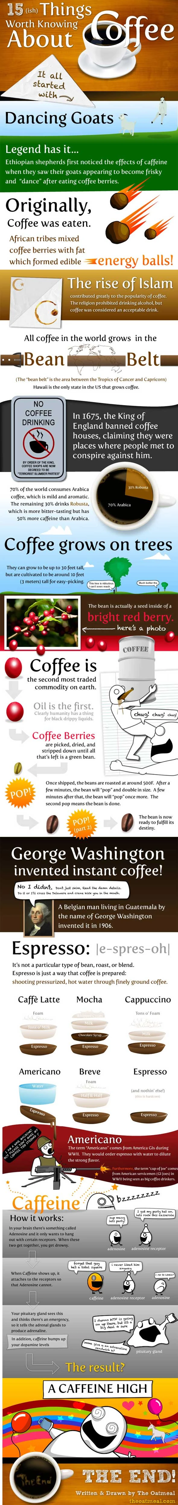 15 Interesting Facts About Coffee Including Its Origins, Health Benefits, Brewing Methods, And Varieties To Enhance Your Coffee Experience.