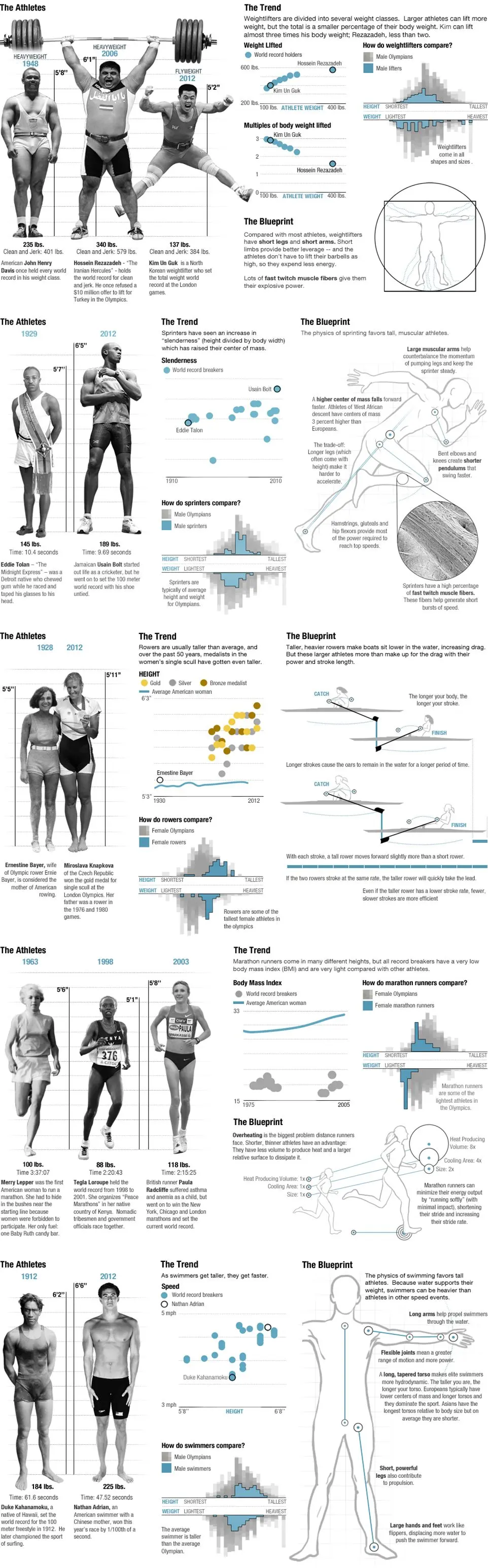 Olympic Athlete Body Evolution Physics Weightlifting Sprinting Rowing Marathon Swimming