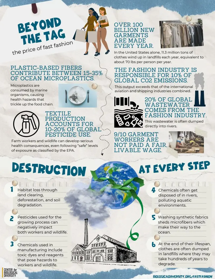 Fast fashion environmental impact and ethical issues highlighted in infographic reveal hidden costs behind cheap clothing and its consequences.