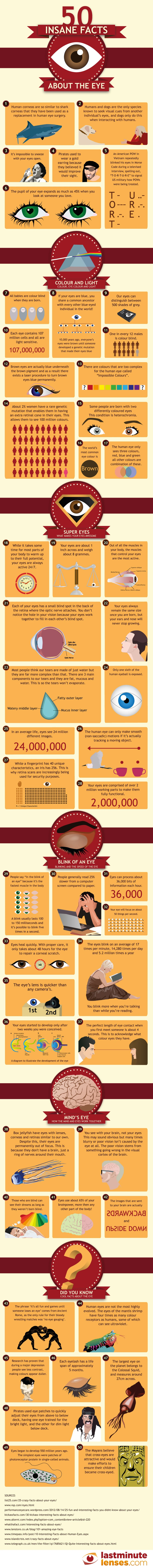 50 Insane Facts About The Eye Reveal Fascinating Insights Into Human Vision Eye Health Structure And The Amazing Capabilities Of Our Eyes