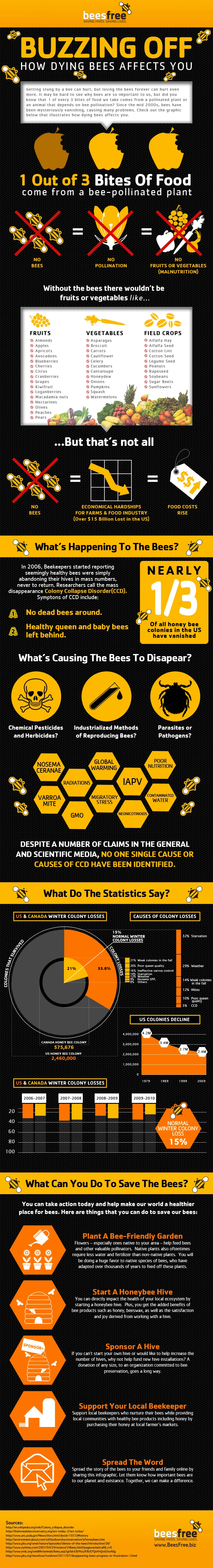 Dying Bees Impact Ecosystems And Food Supply. Protecting Bee Populations Is Crucial For Biodiversity And Agriculture Sustainability. Buzzing Off Has Serious Consequences.