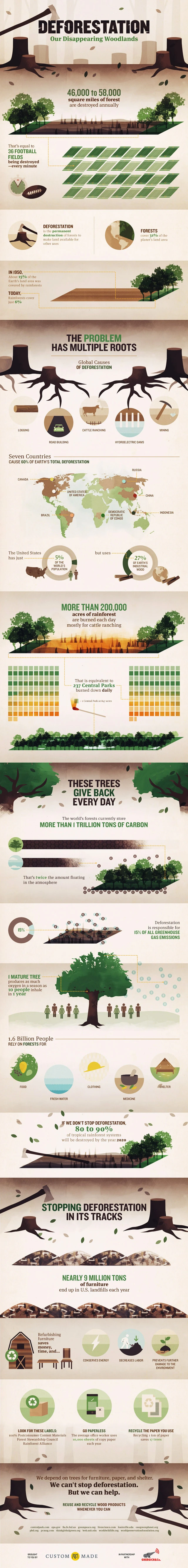 Deforestation Poses A Significant Threat To Our Ecosystems As Woodlands Rapidly Vanish. Protecting Forests Is Essential For Biodiversity And Climate Stability.