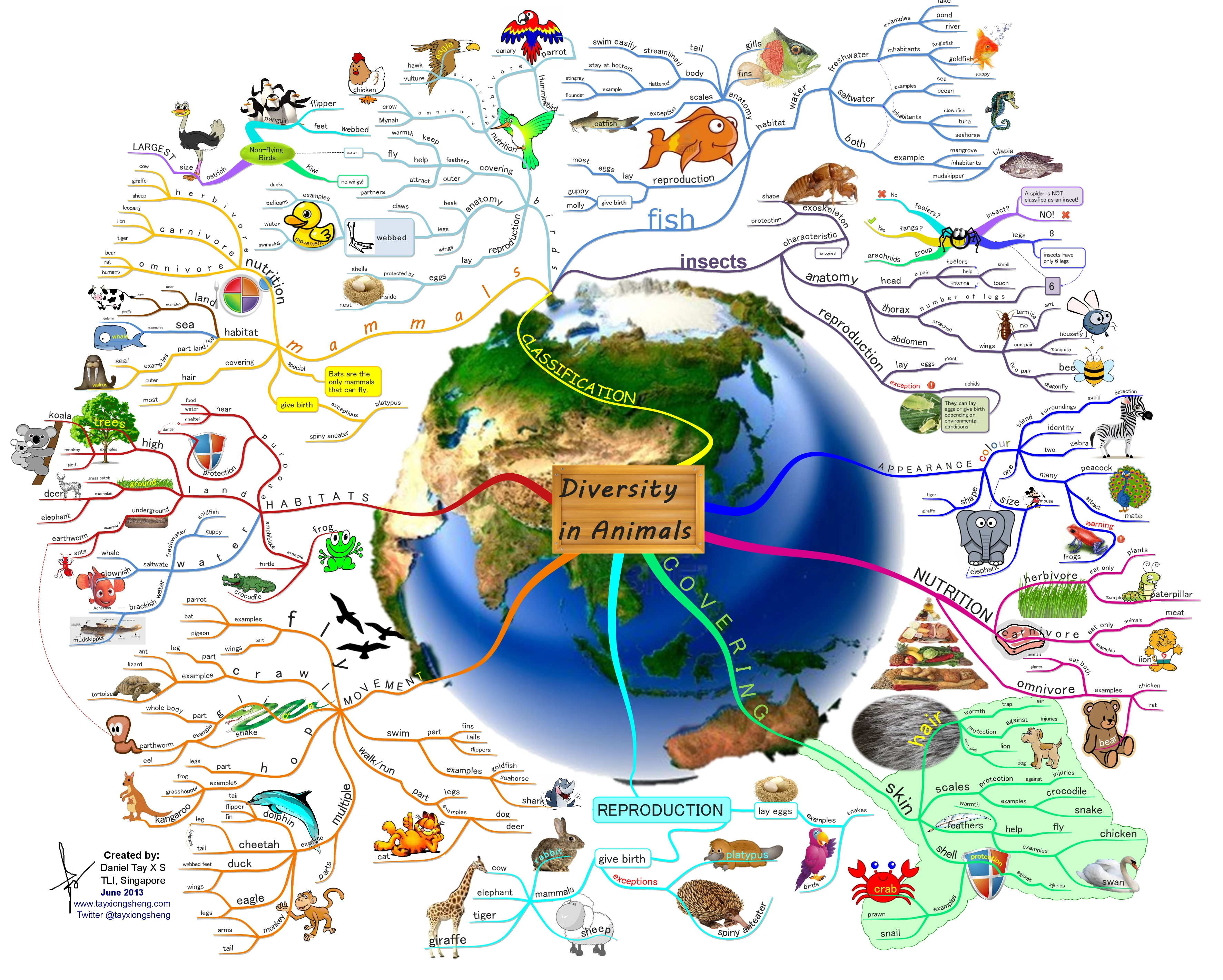 Diversity In Animals Showcases The Vast Variety Of Species Habitats Behaviors And Adaptations Found In Nature Promoting Ecological Balance And Conservation.