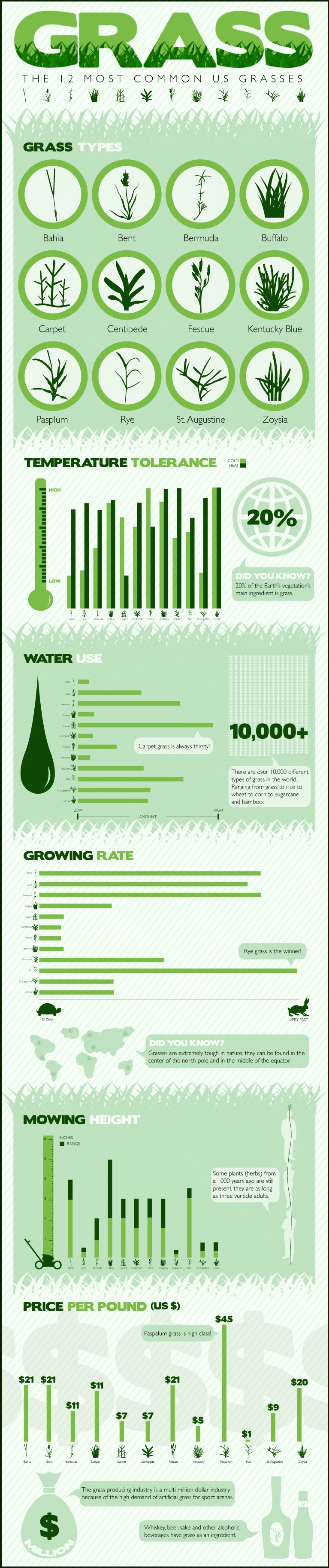 Discover The 12 Most Common Types Of Grass In The Us For Lawns And Landscaping. Ideal For Improving Your Yard'S Aesthetic And Health.