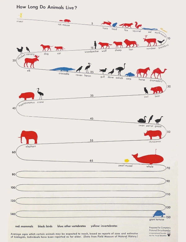 How Long Do Animals Live Is A Question About Animal Lifespan And Longevity. Different Species Have Varying Life Expectancies And Age Ranges.