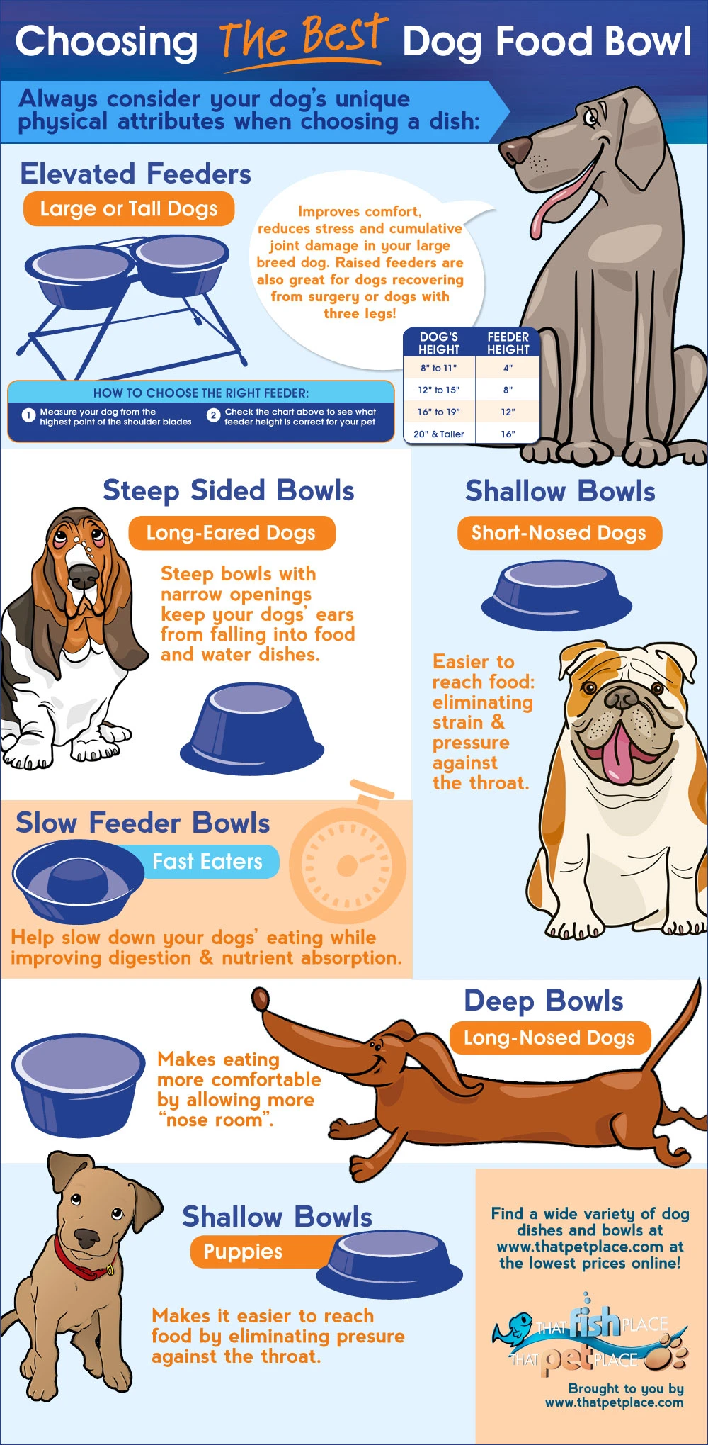 How To Choose The Best Dog Bowl For Your Breed Including Size Shape Material And Design For Optimal Comfort And Feeding Experience For Pets