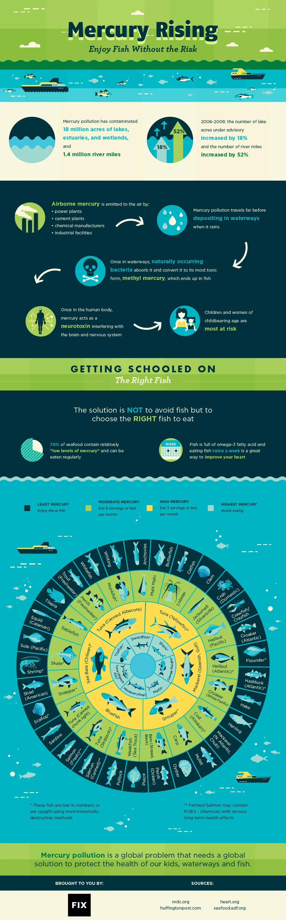 Mercury Rising Offers Tips To Enjoy Fish Safely And Reduce Mercury Risks While Benefiting From Healthy Omega Three Fatty Acids In Seafood.