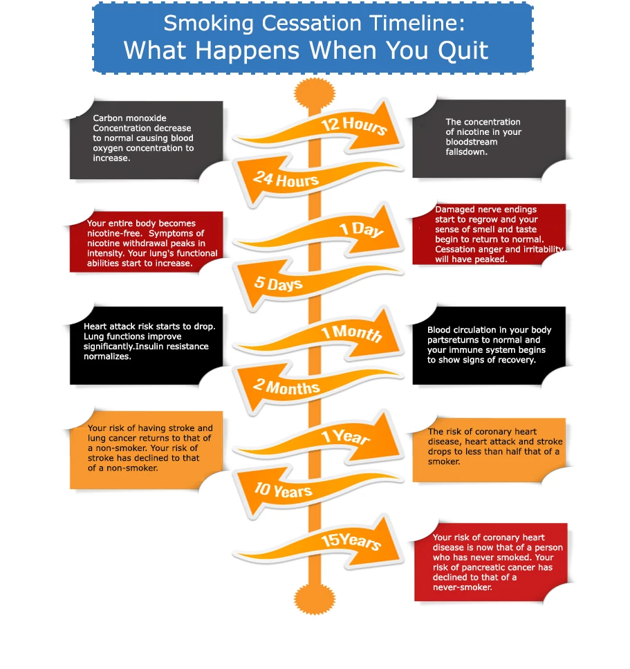 Smoking Cessation Timeline Outlines The Benefits Of Quitting Smoking Over Time Helping Individuals Understand The Health Improvements And Motivational Milestones.