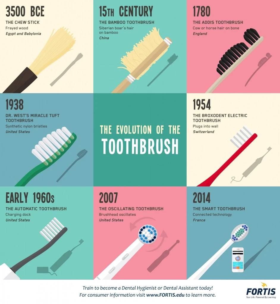 The Evolution Of The Toothbrush