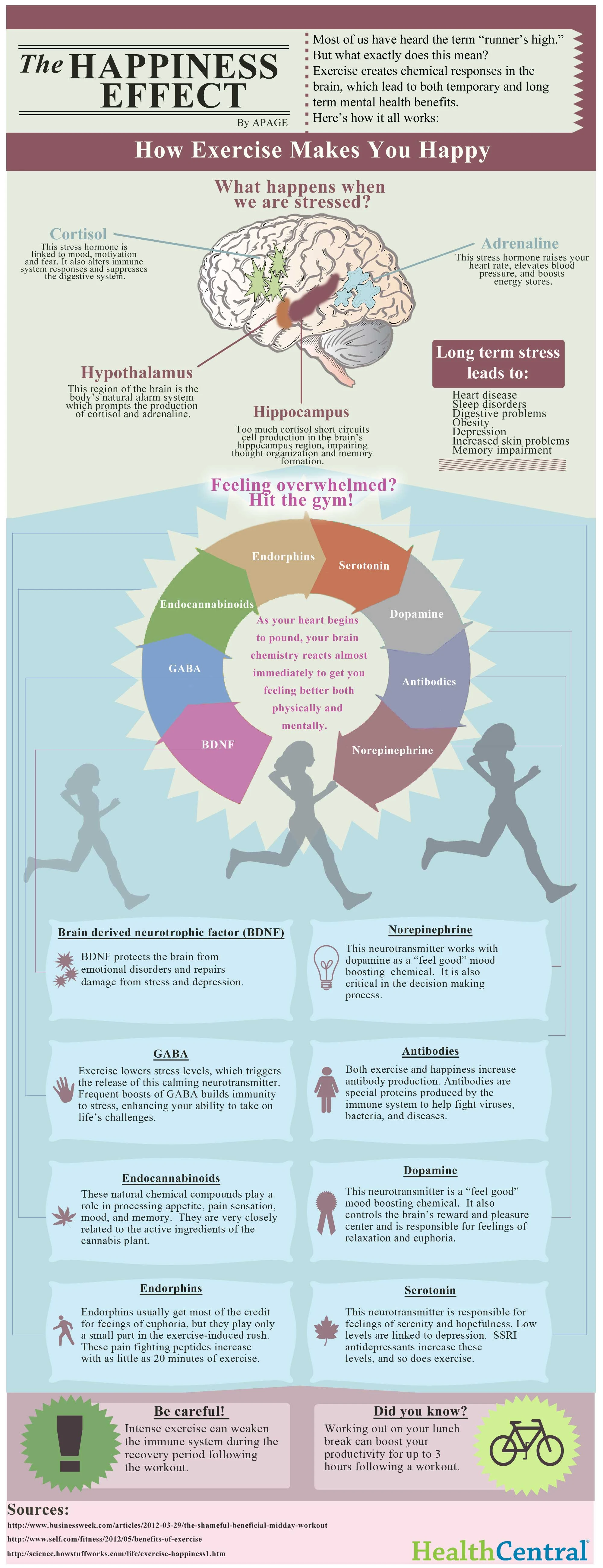 The Happiness Effect Shows How Exercise Boosts Mood And Enhances Well-Being Through Endorphin Release And Improved Mental Health.