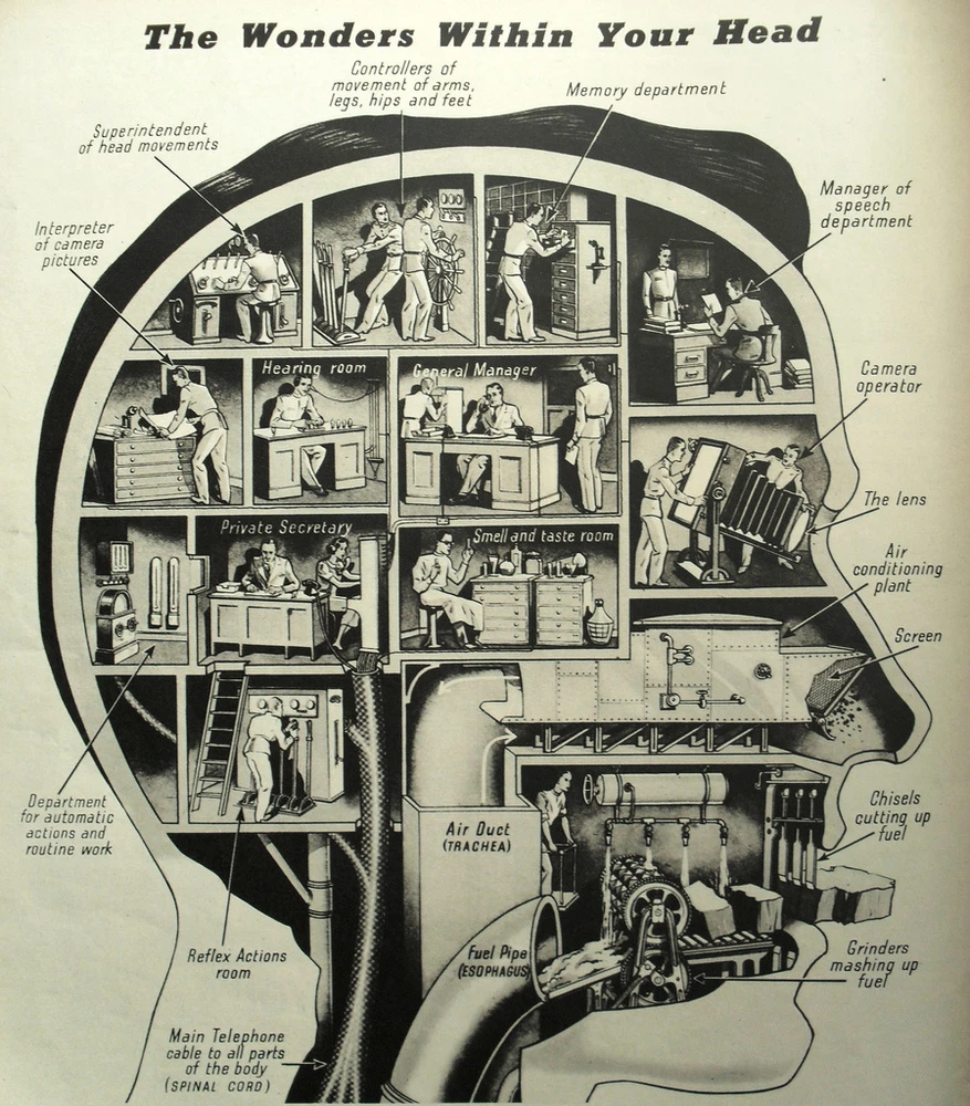 Discover The Wonders Within Your Head, Exploring Brain Creativity, Knowledge, And Problem-Solving Skills For A Brighter Future. Expand Your Mind Now.