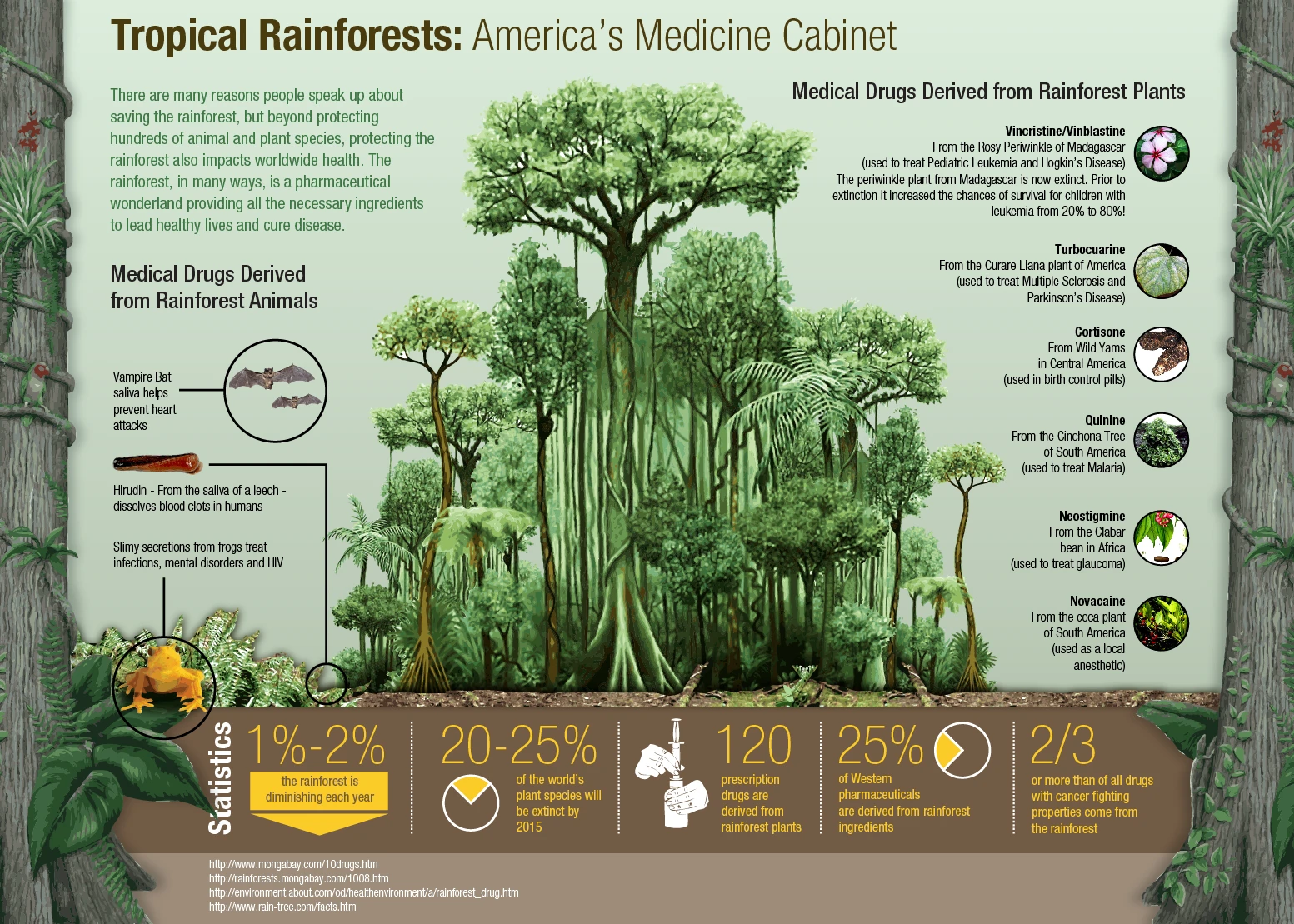 Tropical Rainforest Biodiversity Features Lush Vegetation, Unique Species, And Vital Ecosystems That Support Wildlife And Regulate Climate. Sustainable Conservation Efforts Are Crucial.