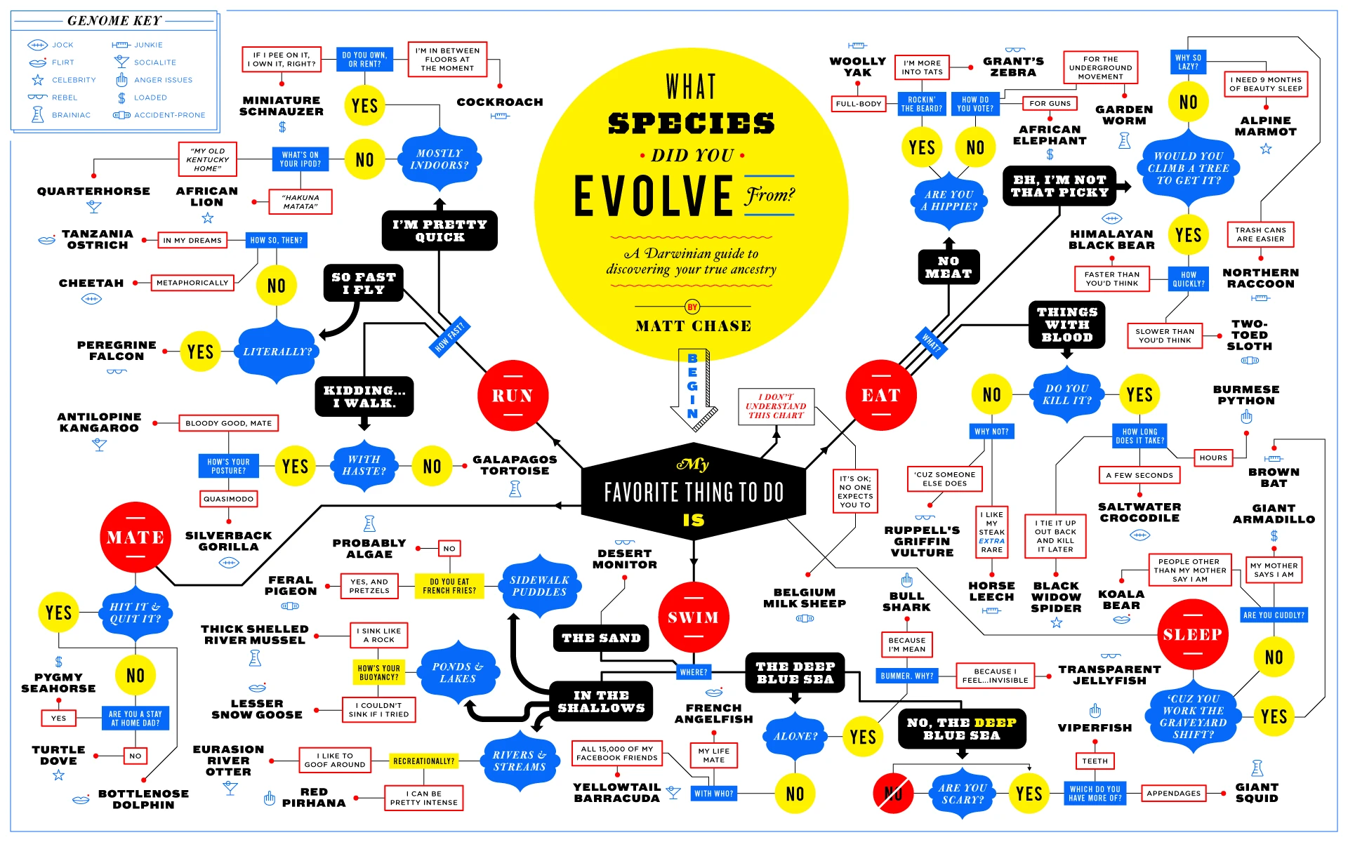 What Species Did You Evolve From In Human Evolution And Ancestry? Explore Our Evolutionary History And Connection To Ancient Species.